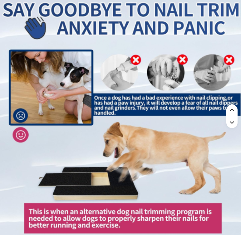PawFile Pro