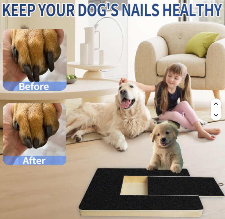 PawFile Pro